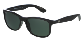 Ray-Ban RB4202