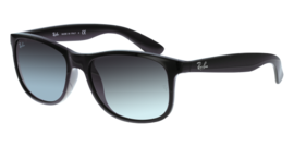 Ray-Ban RB4202