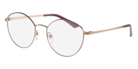 Vogue Eyewear VO 4025