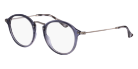Ray-Ban ROUND FLECK RX 2447V